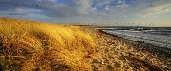 Lonely empty beach in the evening light, beach grass bends in the wind, blue sky with clouds,