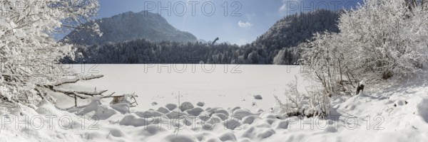 Freibergsee in winter, near Oberstdorf, behind it the Himmelschrofen, 1791m, and the Heini-Klopfer