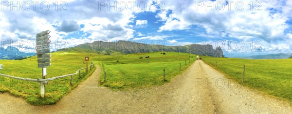 Hiking trails diverge in the lush meadows of alpe di siusi, with tourists walking towards the