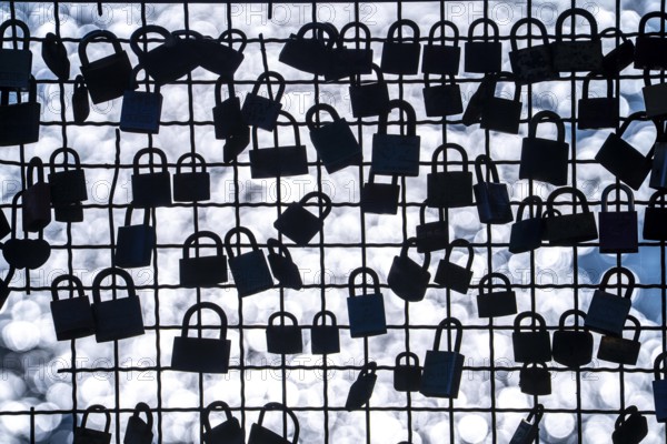 Padlocks, so-called love locks on a fence, vantage point in Wesel am Rhein, North Rhine-Westphalia,