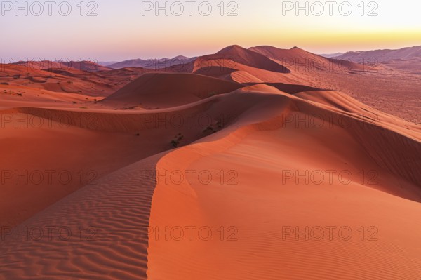 Wind-sculpted sand dunes at sunrise in the Rub al Khali desert, Dhofar province, Arabian Peninsula,