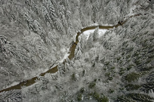 Gießenbach, winter, snow-covered trees, drone shot, without horizon, Kiefersfelden, Upper Bavaria,