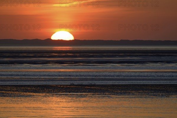 Sunset over the North Sea at low tide, the outline of the island of Juist on the horizon,