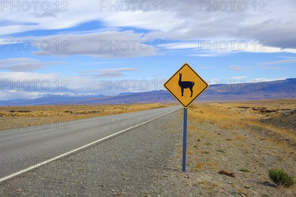 El Calafate, Patagonia, Argentina, Road sign warning of guanacos along the little-travelled country