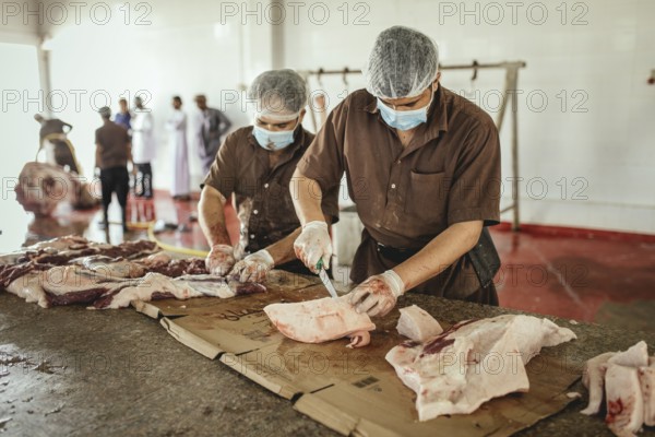Cutting up a slaughtered dromedary (camelus dromedarius), camel slaughter, Salalah slaughterhouse,