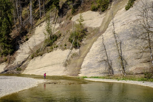 Hiker on the Hohe Wand, Nagelfluh, Eistobel geotope, Obere Argen, near Grünenbach, Allgäu, Swabia,