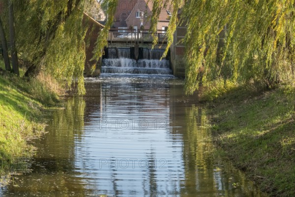 Idyllic river with the weir of a watermill, lined with autumn willow trees, Nienborg, Münsterland,