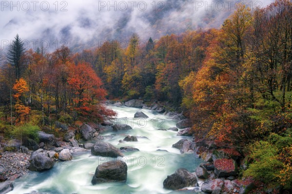 Verzasca river lined with autumn-coloured deciduous trees, rainy and foggy Verzasca valley, Canton
