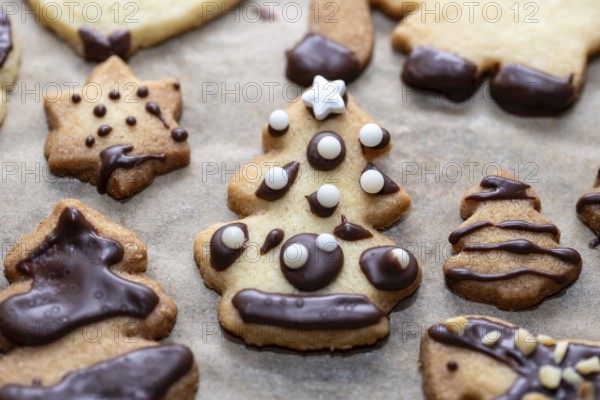 Christmas biscuits with chocolate decoration in the shape of stars and fir trees on baking paper,