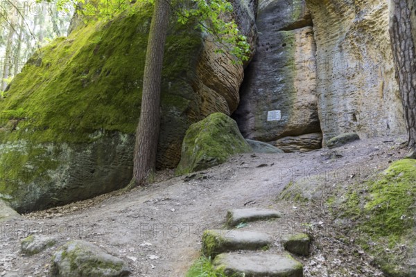 Rocky landscape at the Diebskeller or Götzinger Cave at the Kleiner Bärenstein, Thürmsdorf,