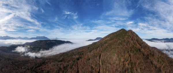 Drone shot, autumn forest and sea of fog around the Schwarzenberg, Puch near Hallein, Osterhorn