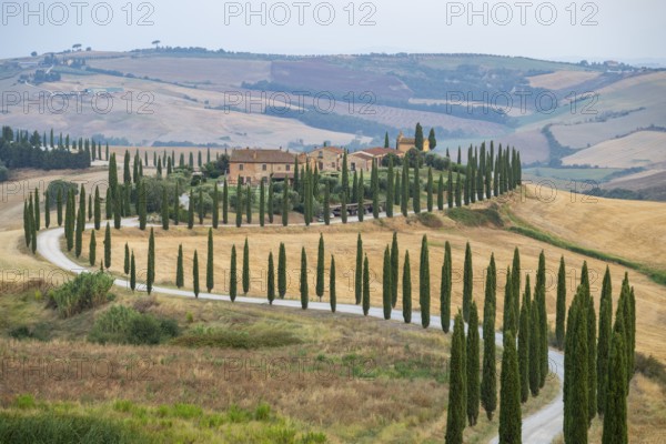 Typical Tuscan landscape in Crete Senesi with hills, trees, fields, cypresses and farm road in