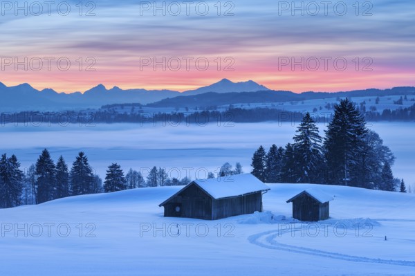 Sunset in the Allgäu in winter, view at sunset over the Forggensee with fog, in front two barns in