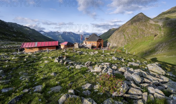 Mountain hut Lasörlinghütte in the evening light, mountain landscape with alpine roses,