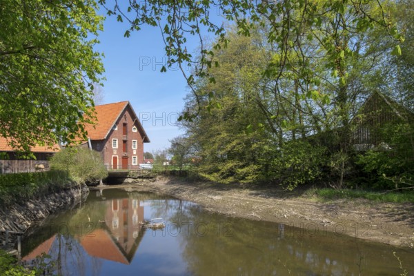 Düstermühle on the river Dinkel, watermill, Legden, district of Wehr, Münsterland, North
