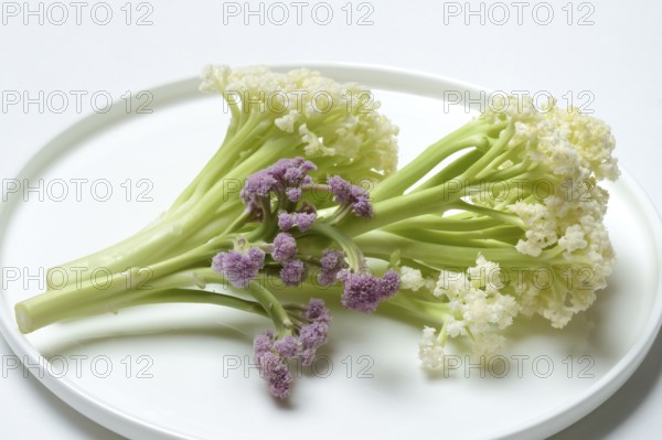 Fioretto, a cross between cauliflower and broccoli. The flowers are reminiscent of coral,