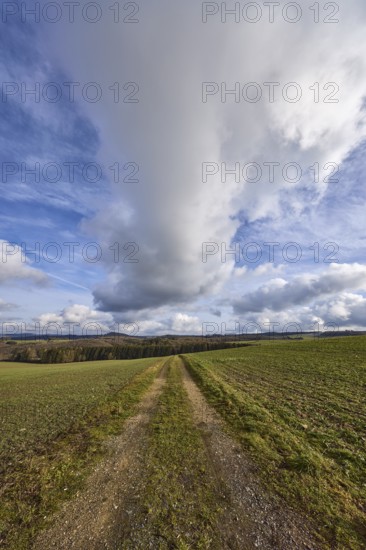 Agriculture, fields, hilly landscape, coniferous forest, landscape, landscape photography, blue