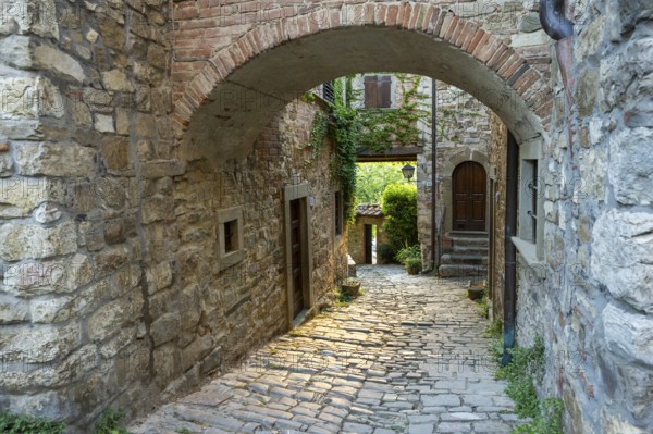 View of a little Street in the little wine town of Montefioralle, Chianti, Florence, Firenze,