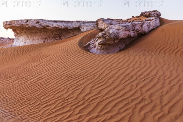 Striking cliffs surrounded by windswept sand structures, Huqf stone desert, Arabian Peninsula,