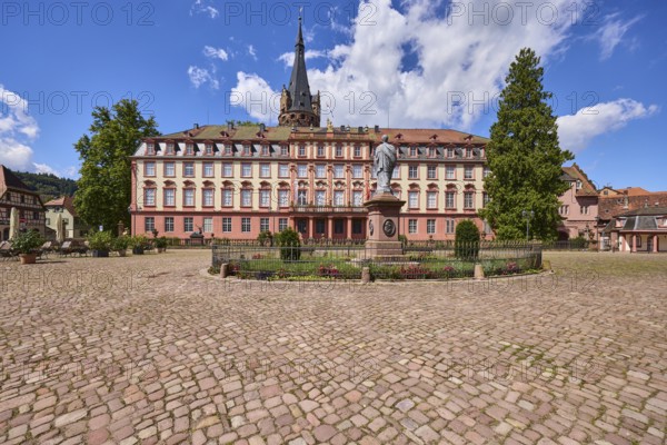 Monument to Count Franz, Erbach Castle, trees, cobblestones, blue sky with cumulus clouds, market