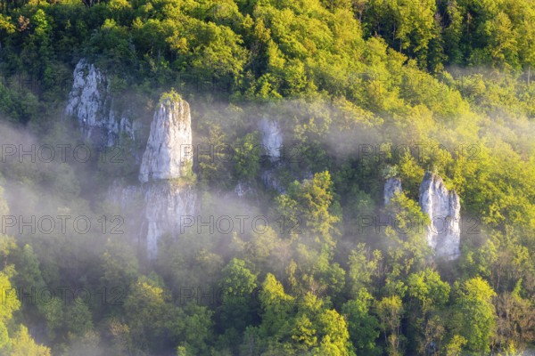 Limestone cliff tops between mixed forest, fog, band rocks, Leibertingen, Upper Danube nature park
