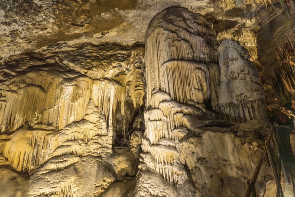 Illuminating the magnificent stalactites and stalagmites within postojna cave, showcasing nature's