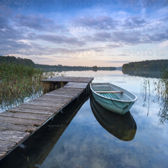 Morning atmosphere at the lake, wooden jetty with rowing boat in the reeds, Breiter Luzin,