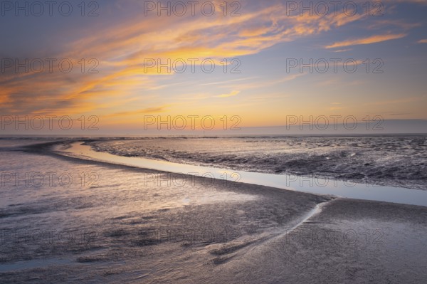 View of a tidal flat in the Wadden Sea at low tide at sunset, National Park, Unesco, World Natural