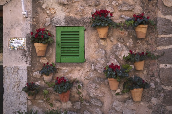 Flower pots on the wall, alleyway of plants, alley, Valldemossa, Tramuntana Mountains, Serra de