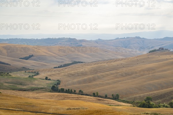 Typical Tuscan landscape in Crete Senesi with hills, trees, fields, cypresses and farm road in