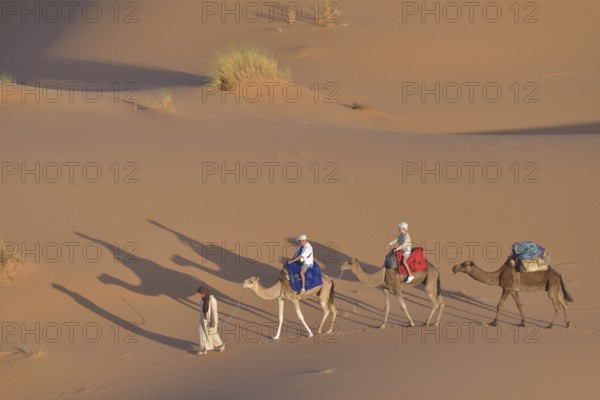 Tourists riding on camels in the dunes, Great Sand Sea, Sahara, Merzouga, Meknès-Tafilalet region,