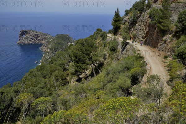 Sa Foradada peninsula with rock structure, between Deià and Valldemossa, Majorca, Balearic Islands,