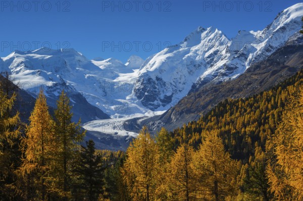Piz Palü, 3905 m, Piz Bernina, 4049 m, Morteratsch glacier, Bianco ridge, Upper Engadine, Grisons,