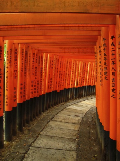 Red Gates, Torii Gates, Avenue of Torii, Taisha, Kyoto, Tori, Fushimi Inari Shrine, Kyoto, Japan,