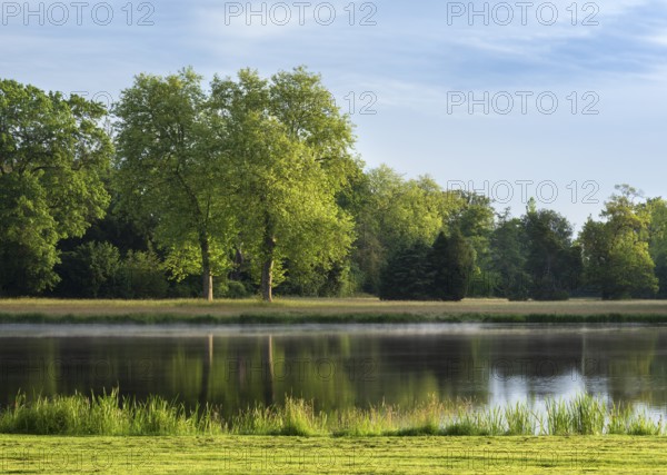 Morning atmosphere in Wörlitz Park, fog on the water, Garden Kingdom Dessau-Wörlitz, Wörlitz,