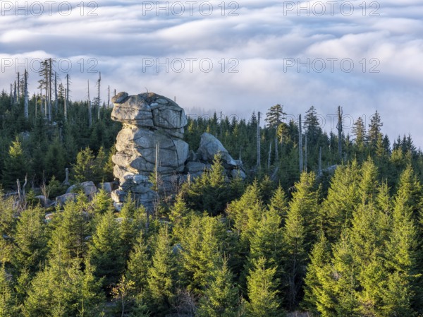 View from the summit of the Dreisesselberg (1333m) over rock tower, forest and sea of fog,