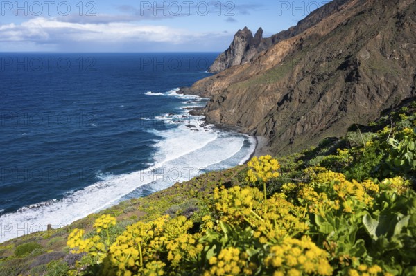 The north-west coast of La Gomera with the Playa de Arguamul beach. Mountains, cliffs and steep