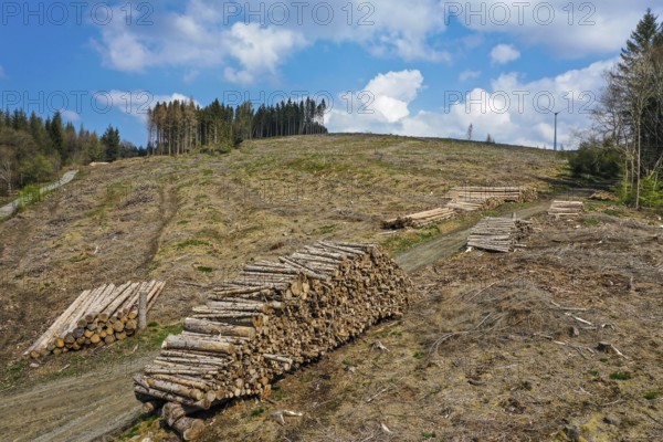 27.04.2022, Hilchenbach, North Rhine-Westphalia, Germany, Forest dieback in the Siegen-Wittgenstein