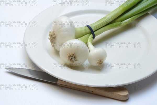 Onion, spring onions and knife on plate