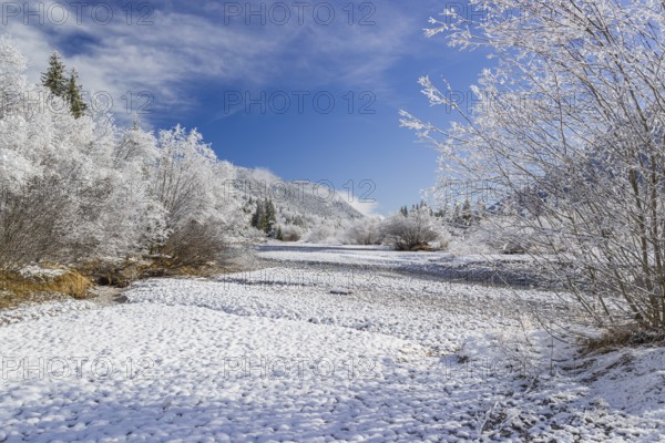Isar valley in winter at temperatures of minus 18 degrees Celsius. Snow covered landscape with the