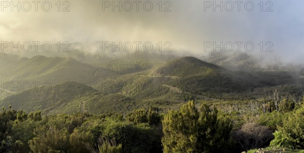 Sunset, view from the mountain Alto de Garajonay, Garajonay National Park, La Gomera, Canary