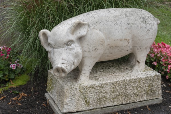 Pig figure, symbolising the rescue of the town of Nördlingen in 1440, Nördlingen, Bavaria, Germany,