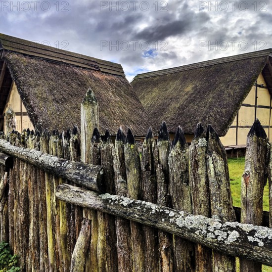 Reconstructed Celtic hilltop settlement Altburg, Bundenbach, Birkenfeld district, Hunsrück,