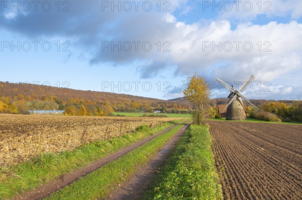 View of the Eisbergen windmill or Röckemann's mill, Porta Westfalica, Minden Lübbecke district,