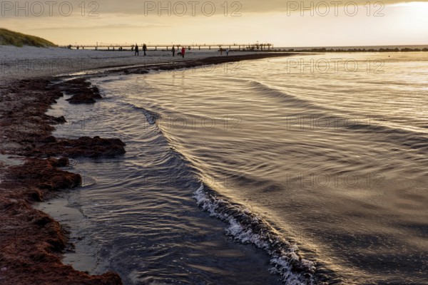 Baltic Sea beach, Baltic Sea coast with the Wustrow pier, evening mood, Baltic seaside resort