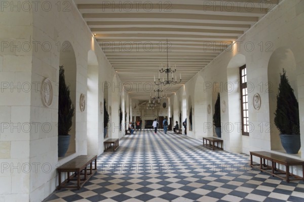 Daylight-flooded hall with vaulted ceilings and geometric tile patterns, gallery, Chenonceau