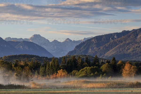 Foggy mood over trees in the morning light, mountain landscape, autumn, near Murnau, behind