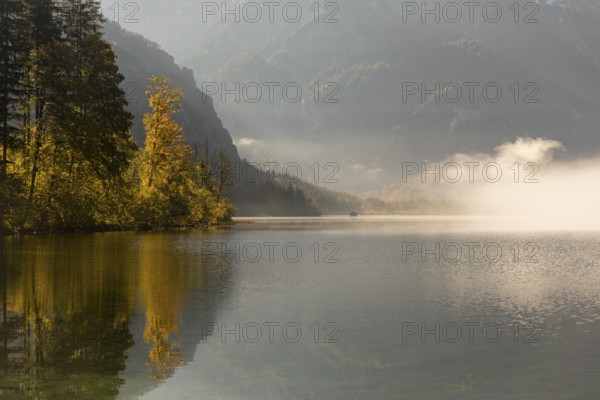 Lake Almsee in autumn with a forest reflected in the lake. A slowly dissipating fog moves over the