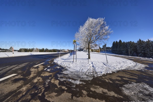 Winter landscape, federal road B500, bus stop, snow-covered tree, deep blue cloudless sky,