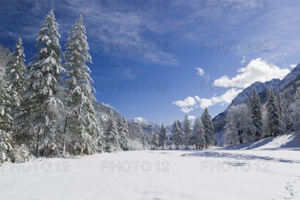 Eng valley in winter. Snow covered landscape with the Riss creek flowing through. Some hoar frosted